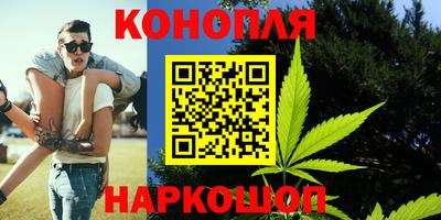 МДПВ Гудермес