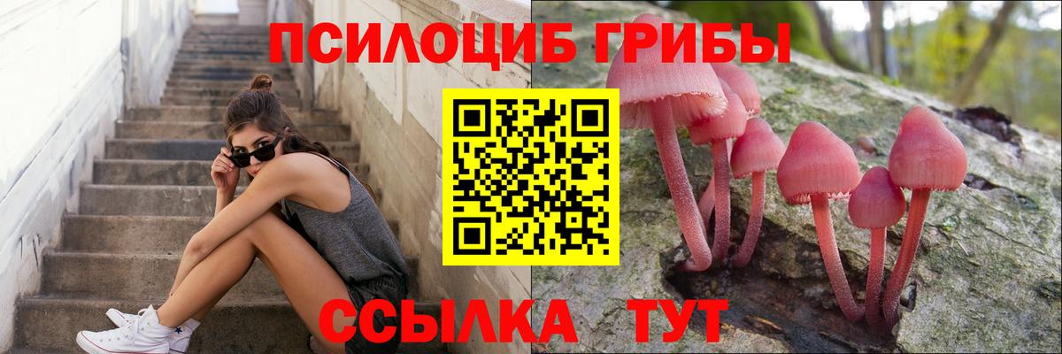 дарнет шоп  Псилоцибиновые грибы Cubensis  Вход с VPN  Бутурлиновка  Галлюциногенные грибы прущие грибы 